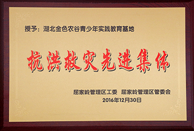 c55a5462-f937-4cd2-ace3-fe9e43e49d50.png