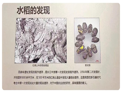 喜报 | 金色农谷农耕文化实践营地上榜 喜报 | 金色农谷农耕文化实践营地上榜