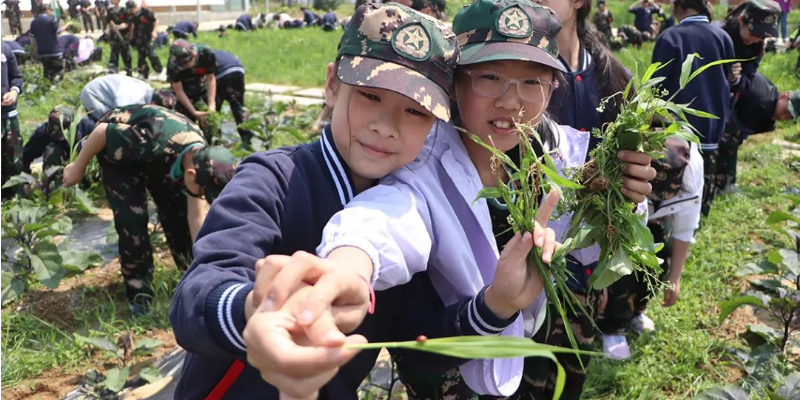第十四周|荆门十四校【正是春去夏将好,畅享研学好时光】研学实践活动 第十四周|荆门十四校【正是春去夏将好,畅享研学好时光】研学实践活动