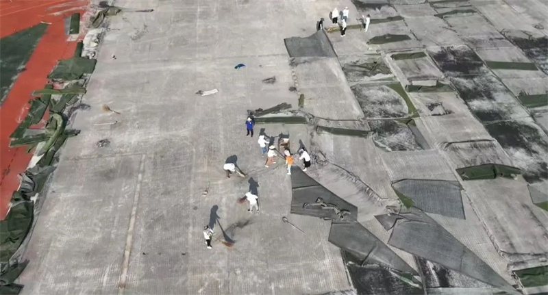 1726022768417767.jpg