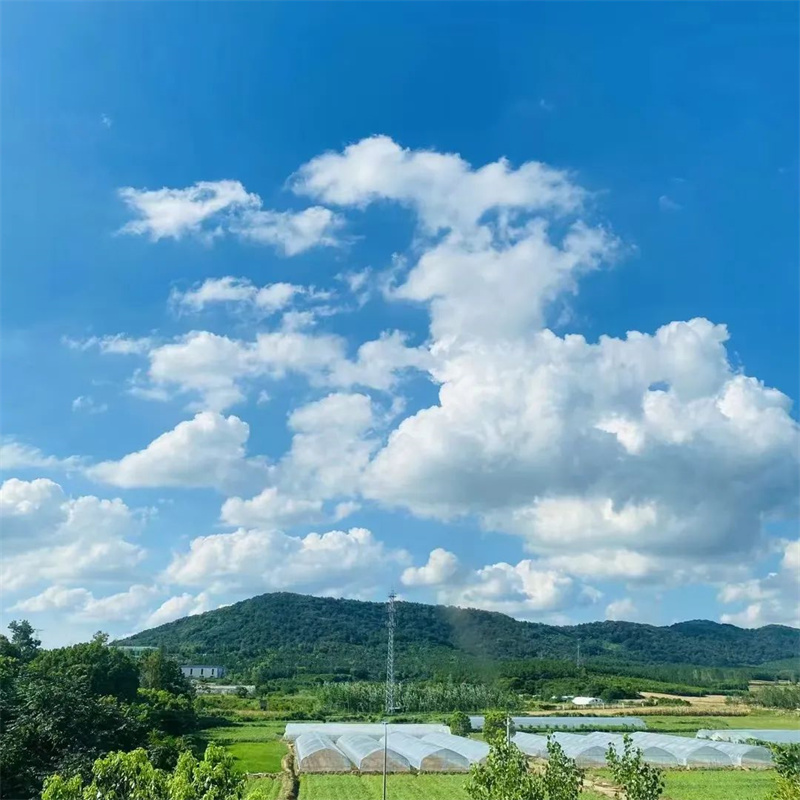 1728543123164167.jpg
