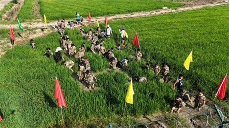 第二十七周|“少年迷彩梦”小狼牙户外生存夏令营 第二十七周|“少年迷彩梦”小狼牙户外生存夏令营